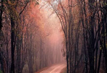 亚新体育：前上港主帥博阿斯遭法甲豪門馬賽解雇 曾主動辭職遭拒絕.