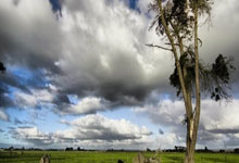 亚新体育：前上港主帥博阿斯遭法甲豪門馬賽解雇 曾主動辭職遭拒絕.