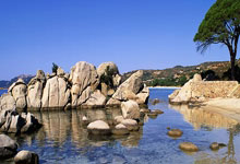 在法蘭克福獲重生！格策續約至2026！.